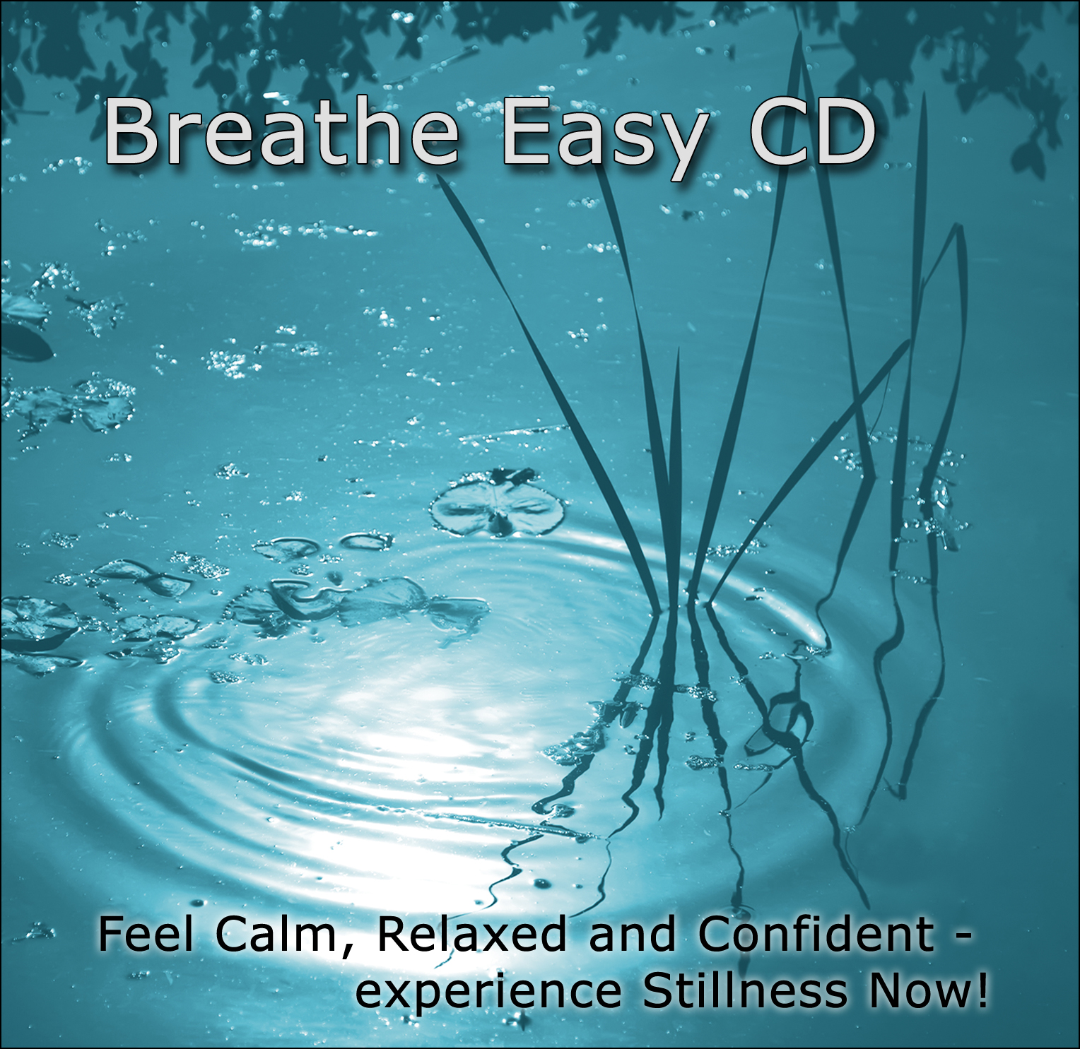 breatheasy-cd